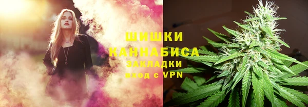 прущие грибы Нея