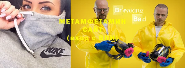 прущие грибы Нея