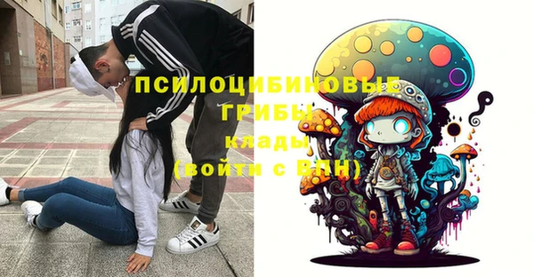 мдма Новозыбков