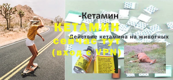 прущие грибы Нея