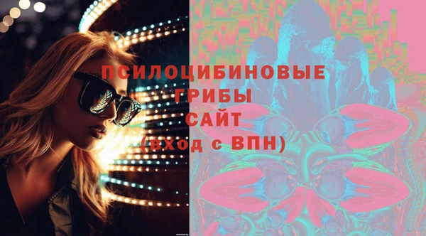 прущие грибы Нея