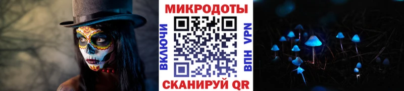 Галлюциногенные грибы Psilocybe  сколько стоит  Биробиджан 