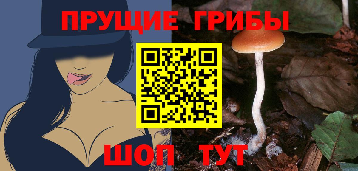 Галлюциногенные грибы Psilocybine cubensis  Вход с VPN  Биробиджан 