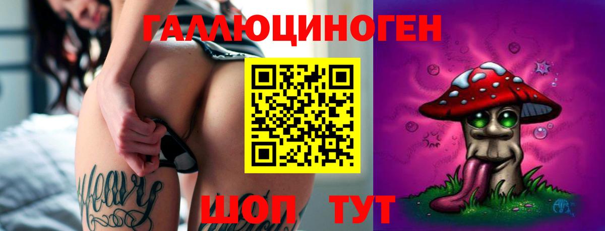 Псилоцибиновые грибы прущие грибы Биробиджан