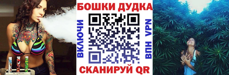 как найти закладки  Биробиджан  Конопля индика 
