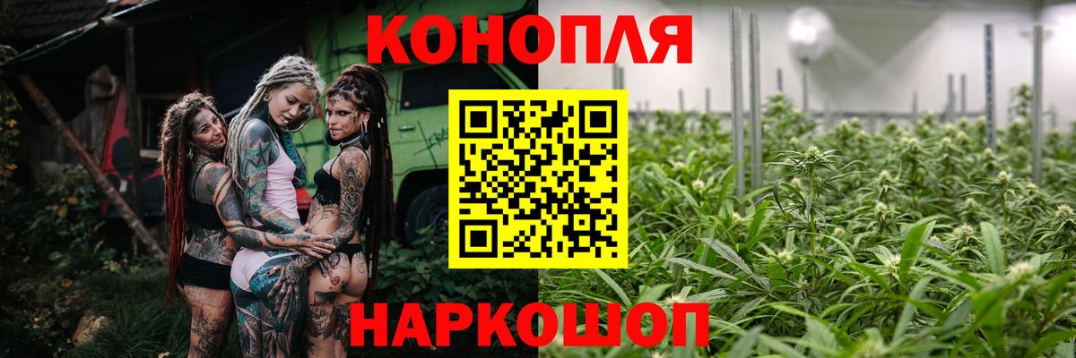 Каннабис сатива  Конопля ГИДРОПОН  Вход с VPN  Биробиджан  Каннабис семена 